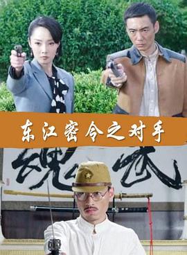 专业seo优化代理