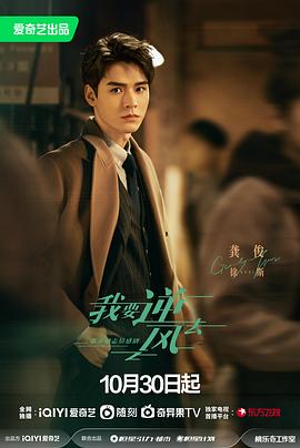 江北区seo优化项目